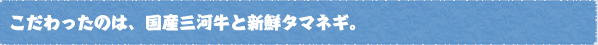 こだわったのは、国産三河牛と新鮮タマネギ。